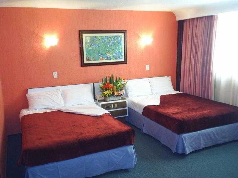 Segovia Regency Hotel Kota Meksiko Ruang foto